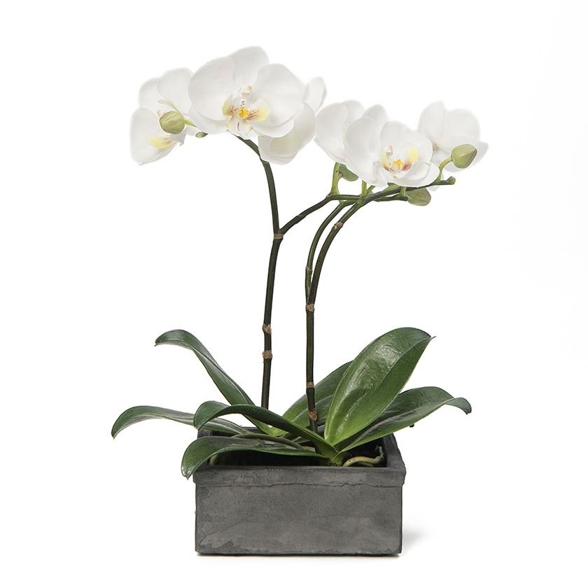 Yapay Orkide