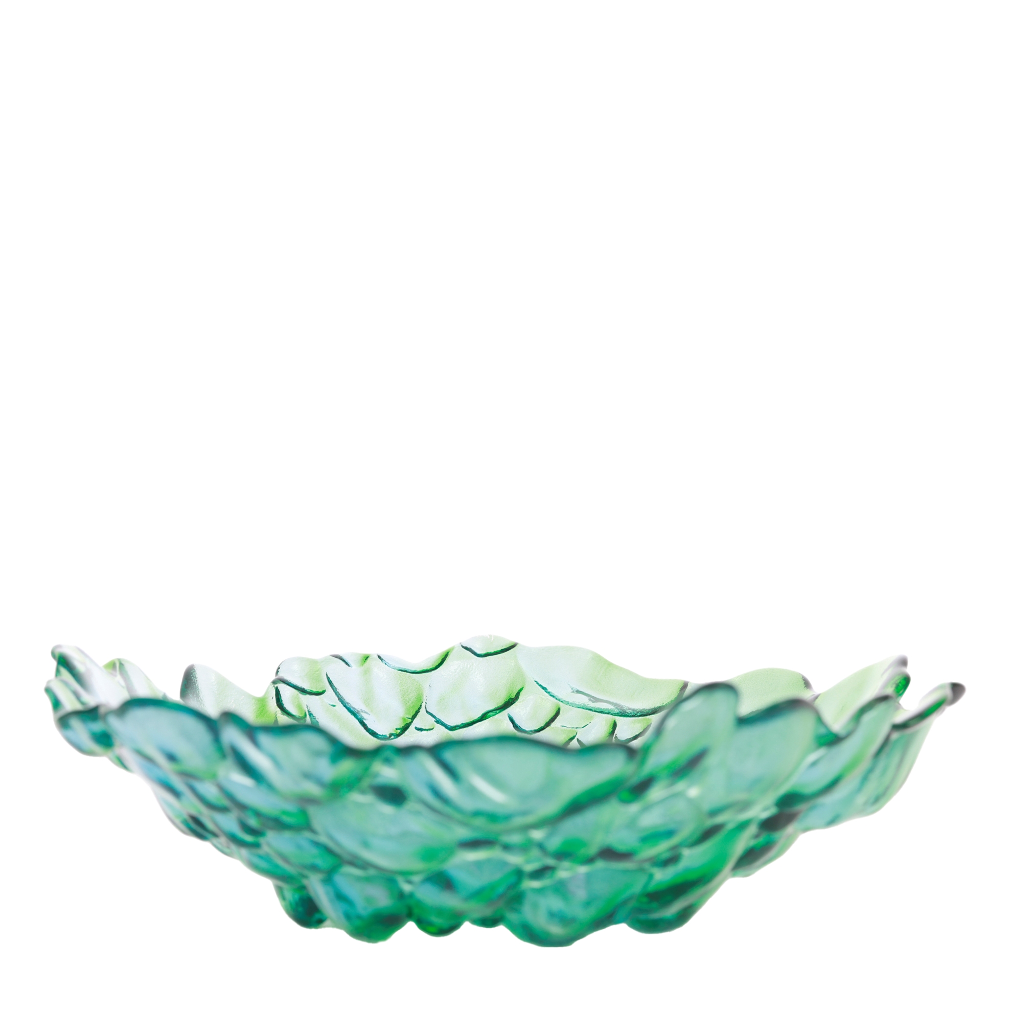 Decorative Bowl (22x6cm)