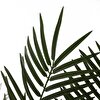 Dekoratif Bitki - Palmiye (130x200cm)