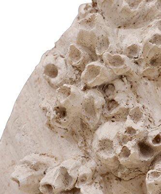 Duvar Dekor (8x34x32,8cm)